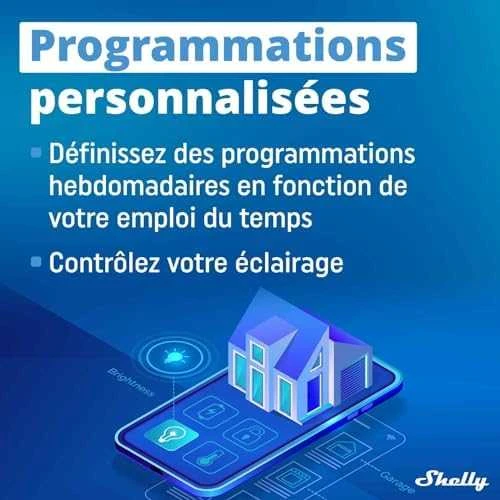 Shelly Plus 2PM 2x - 2 kanalų relė žaliuzių ir variklio valdymas su energijos matavimu Wifi Bluetooth
