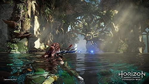 Sony Horizontas Draudžiami Vakarai