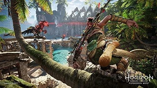 Sony Horizontas Draudžiami Vakarai
