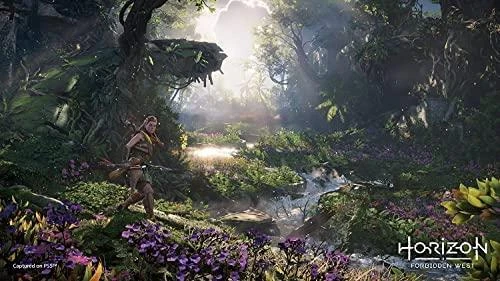 Sony Horizontas Draudžiami Vakarai