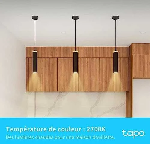 TP-LINK | Išmanusis „Wi-Fi“ prožektorius | Tapo L610