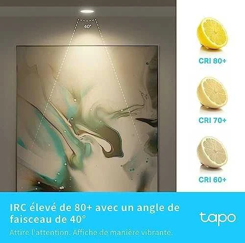 TP-LINK | Išmanusis „Wi-Fi“ prožektorius | Tapo L610