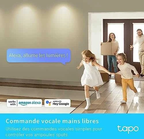 TP-LINK | Išmanusis „Wi-Fi“ prožektorius | Tapo L610