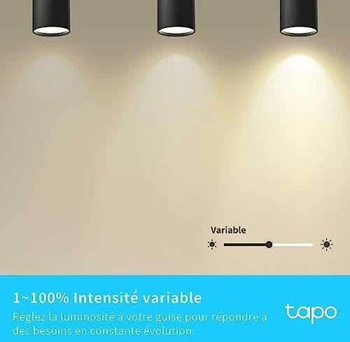 TP-LINK | Išmanusis „Wi-Fi“ prožektorius | Tapo L610