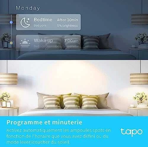 TP-LINK | Išmanusis „Wi-Fi“ prožektorius | Tapo L610