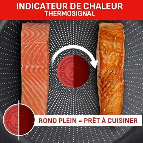 Puodų ir keptuvių rinkinys Tefal Ingenio Emotion, 20 dalių (L897SJ04)
