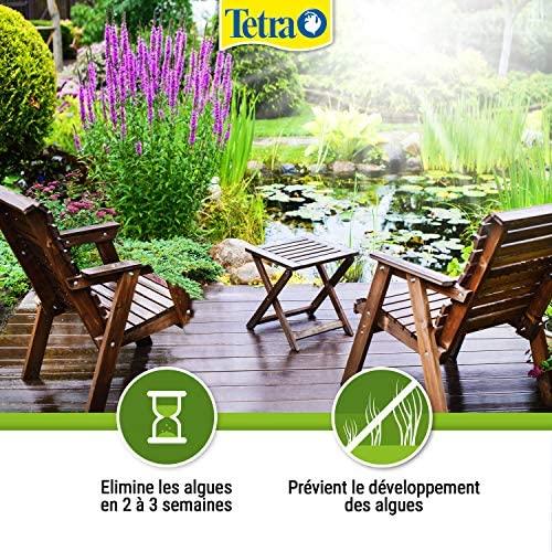 Tetra Pond AlgoFin 3L