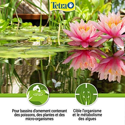 Tetra Pond AlgoFin 3L