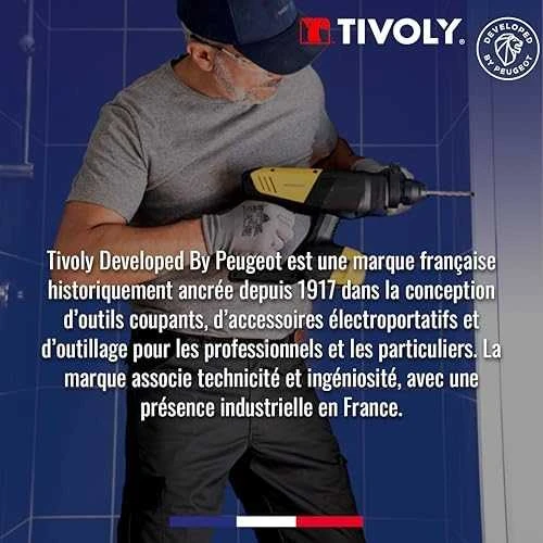 Grąžtas Tivoly nulūžusių varžtų ištraukiklių ir grąžtų rinkinys – 10 dalių:, varžtų ištraukikliai N1–N5 + TiN danga dengti HSS grąžtai Ø2,8–8 mm, trijų briaunų kotas, pilkos spalvos dėklas, (M3-M18 varžtams)