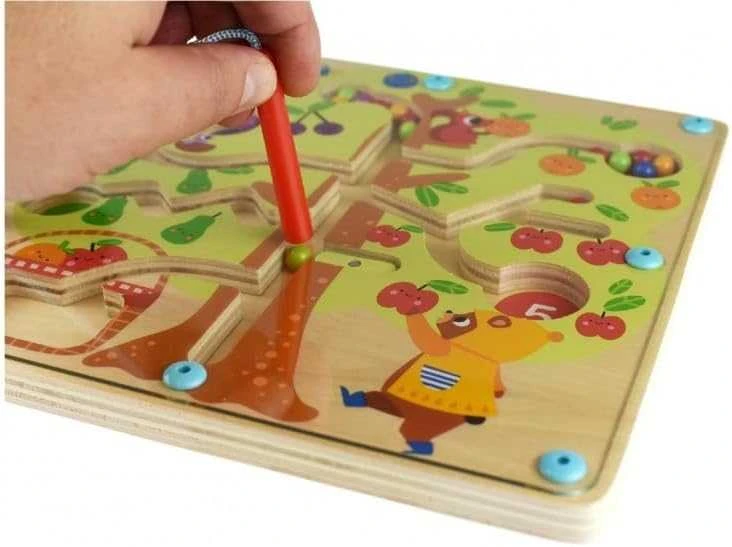 Tooky Toys „Taky Toy Labirynt Magnetic Fruber“ mokymo mokymas