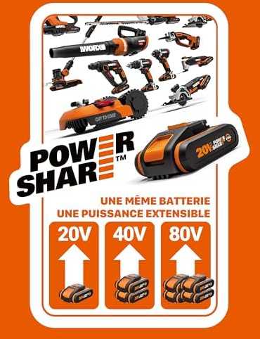 Worx WX291.9 smūginis