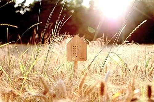 Relaxound Zwitscherbox Nature skambanti dėžutė - inkilas (Ąžuolo medžio spalva)