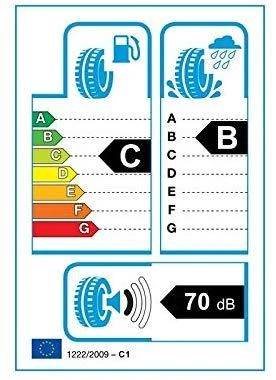 Michelin Padangos Pilot Alpin 5 SUV 107 V XL (C B A 70dB)