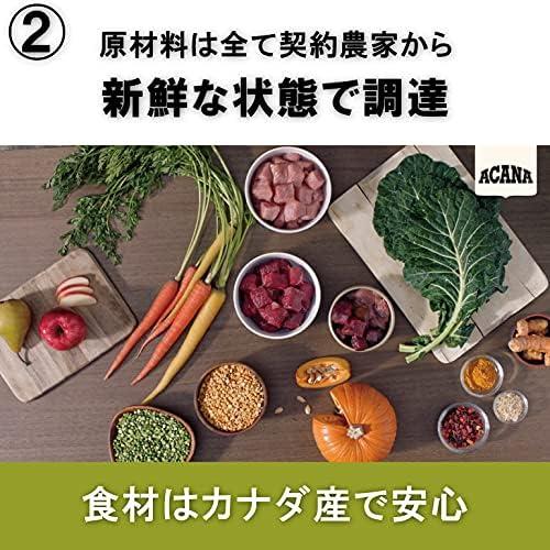 ACANA Homestead Harvest Cat s.m. Katėms 1,8kg