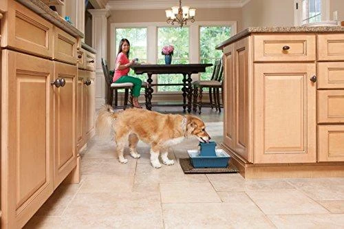 PetSafe Drinkwell Pagoda Mėlynas fontanėlis girdykla šunims ir katėms 2L