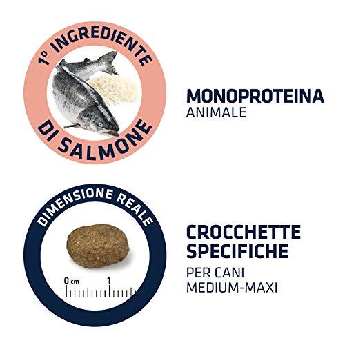 ADVANCE Sensitive su lašiša ir ryžiais 12kg