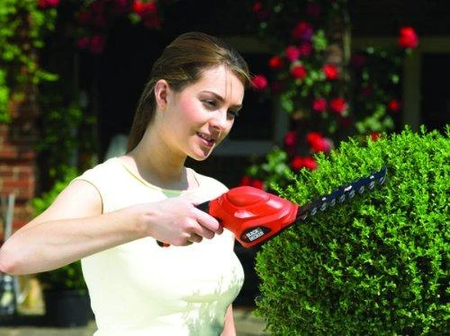 Black & Decker Akumuliatorinės gyvatvorių žirklės GSL300