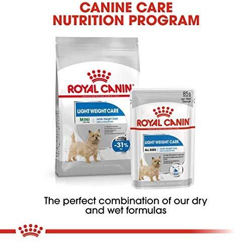 Royal Canin Mini Light Weight Care 8kg