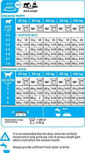 Royal Canin Giant Starter Mother & Babydog 15kg
