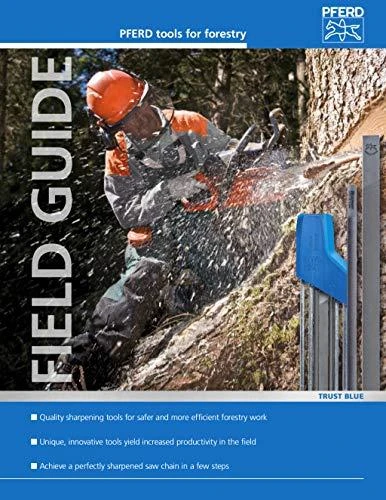 Rankena dildei PFERD FH 4/1-10