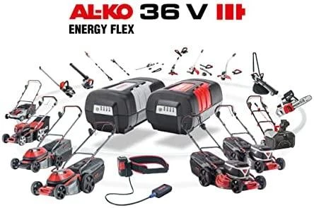 AKUMULIATORIAUS ĮKROVĖJAS AL-KO 40 V-3A