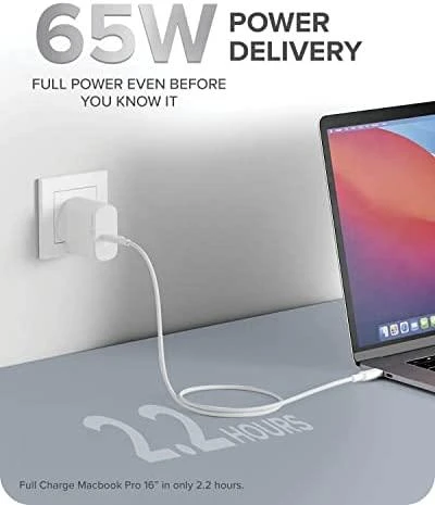 Alogic VCG1X65 1x USB- C 3.25 A (VCG1X65- ES)