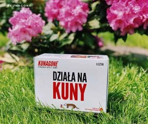 Amio Kunagone priemonė nuo parazitų, 6 vnt.