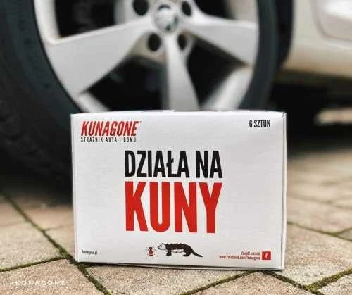 Amio Kunagone priemonė nuo parazitų, 6 vnt.