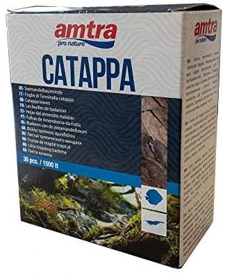 Amtra Pro Nature Catappa lapai 30vnt