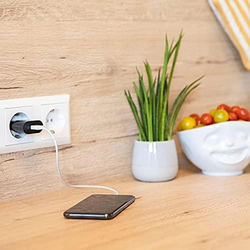 Ansmann namų įkroviklis HC105 1xUSB 1000mA juodas