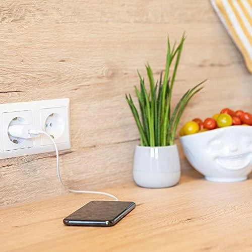 Ansmann namų įkroviklis HC105w 1xUSB 1000mA baltas