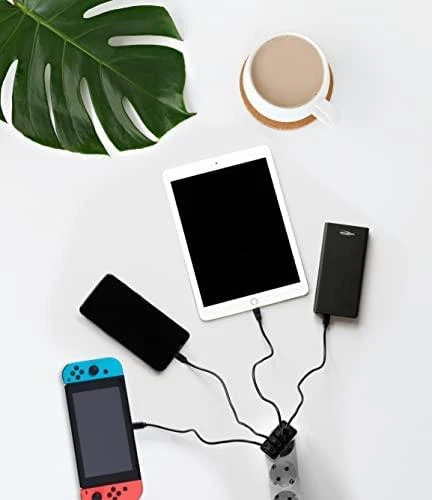 Ansmann namų įkroviklis HC430 4xUSB 3000mA juodas
