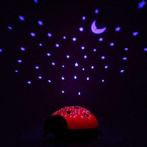Ansmann Starlight Ladybird