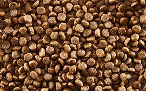 APPLAWS vištiena with lašiša - dry cat food - 2kg