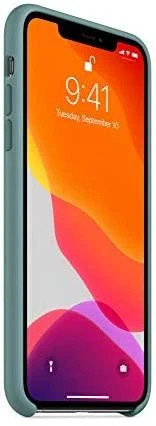 Apple iPhone 11 Pro Max Silikoninis dėklas - Cactus