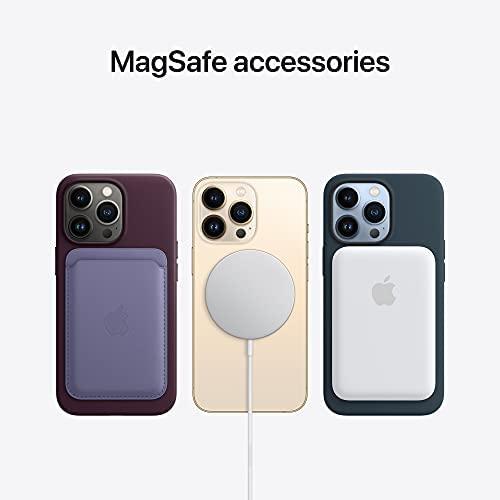 Apple iPhone 13 Pro Silikoninis dėklas su MagSafe, Žalias (Clover)
