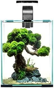 Aquael Shrimp Set 30L Day&amp;Night juodas