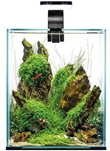 Aquael Shrimp Set 30L Day&amp;Night juodas