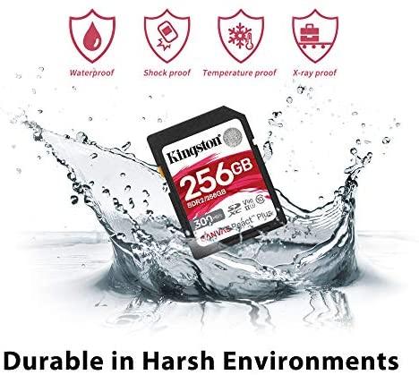 Atminties kortelė Karta Kingston Canvas React Plus SDXC 256 GB 10 klasės UHS-II/U3 V90 (MLPR2/256GB)