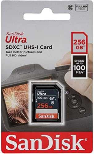 Atminties kortelė SanDisk Ultra Lite SDXC 256GB 100MB/s SDSDUNR-256G-GN3IN