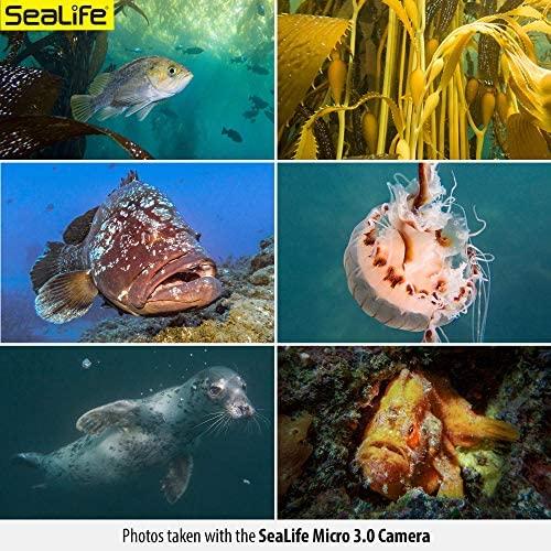 11990 „Sealife Micro 3.0“ 64 GB