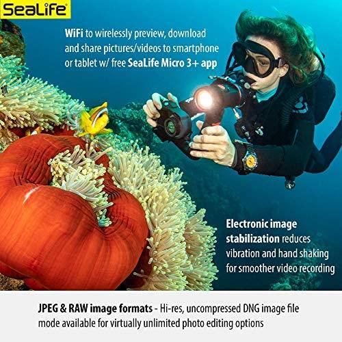 11990 „Sealife Micro 3.0“ 64 GB
