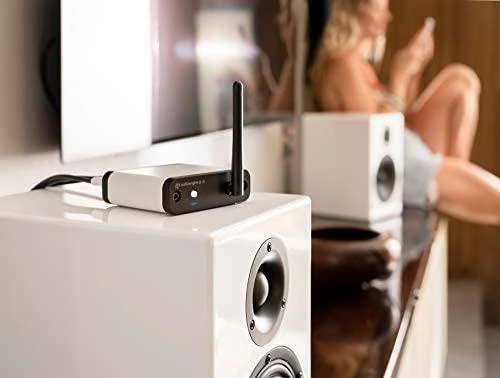 Streamer AudioEngine Garso variklis B-FI Muzikinis atšaka multiroom su Wi- Fi