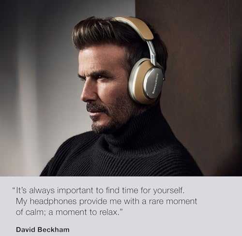 Bowers & Wilkins PX8 ausinės, Pilkšvos spalvos