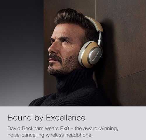 Bowers & Wilkins PX8 ausinės, Pilkšvos spalvos
