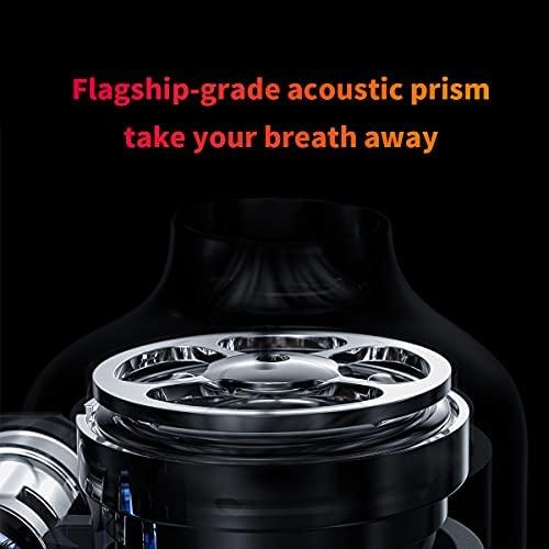 FiiO FD3 ausines