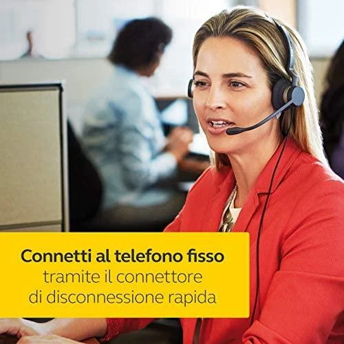 Ausinės su mikrofonu Jabra Biz 2300