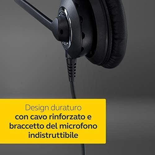Ausinės su mikrofonu Jabra Biz 2400 II Duo
