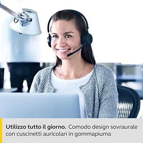 Ausinės Jabra Evolve 20 MS Mono