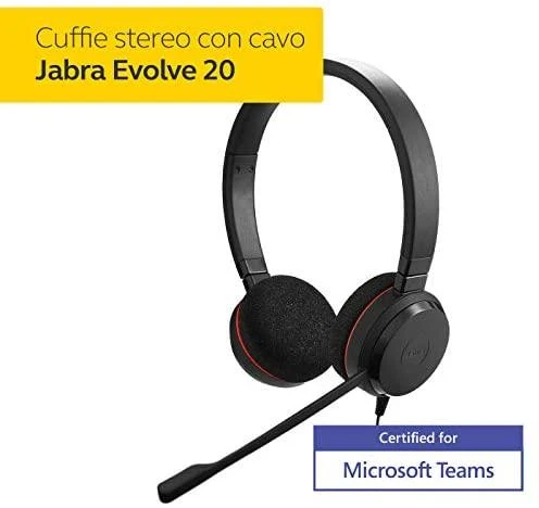 Ausinės JABRA EVOLVE 20 MS Stereo USB su lankeliu ant galvos triukšmo slopinimas USB jungtis su užtildymo mygtuku ir garsumo valdymu ant laido